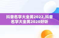 抖音名字大全男2022,抖音名字大全男2020好听