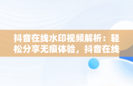 抖音在线水印视频解析：轻松分享无痕体验，抖音在线水印视频解析保存到本地 