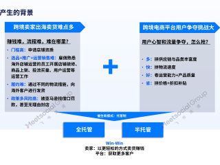 非洲跨境电商平台有哪些,非洲跨境电商平台有哪些中国新手卖家可以入驻