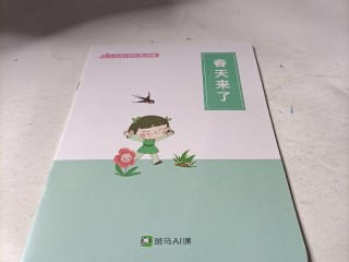 斑马AI课是什么,斑马ai课