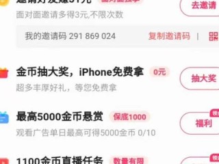 下载一个快手极速版领现金(下载一个快手极速版领现金的软件?)