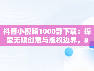 抖音小视频1000部下载：探索无限创意与版权边界，81个抖音视频下载 