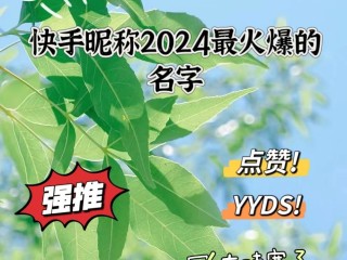 2020快手火爆昵称三个字,最火快手名字大全三字