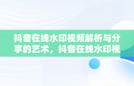 抖音在线水印视频解析与分享的艺术，抖音在线水印视频解析并进行 