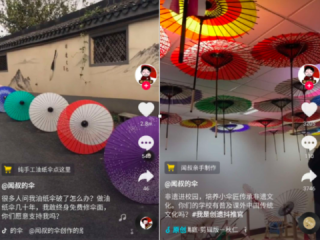 抖音视频网页版红叶青枫小山村走出非遗金奘奖,枫枫农人视频个人资料