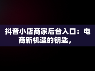 抖音小店商家后台入口：电商新机遇的钥匙， 