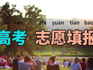 ai免费志愿助手,ai免费助你报志愿