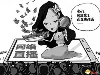 网络主播和直播平台的关系有哪些,网络主播和直播平台的关系