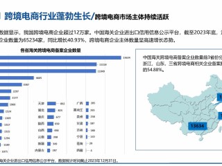 跨境电商有几个站点,跨境电商有多少个平台