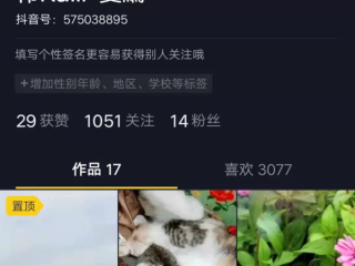 抖音小视频在幼儿园教学中的运用,抖音短视频对幼儿园