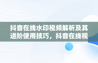 抖音在线水印视频解析及其进阶使用技巧，抖音在线视频解析水印保存到本地 