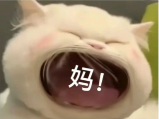 抖音很火的要钱表情包连图(抖音很火的要钱表情包gif)