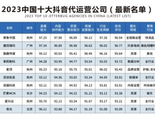 中国跨境电商代运营公司排名前十,中国跨境电商代运营公司排名
