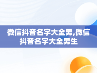 微信抖音名字大全男,微信抖音名字大全男生