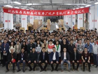 成都扬帆跨境电商代运营,成都扬帆投资咨询有限公司