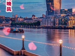 豆包影视音乐分享(豆包的歌哪里可以全部播放)
