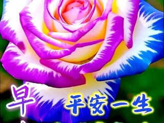 最火最好的早上好图片(最火最好的早上好图片美女)