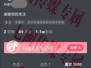 在线使用抖音短视频,18抖音在线使用