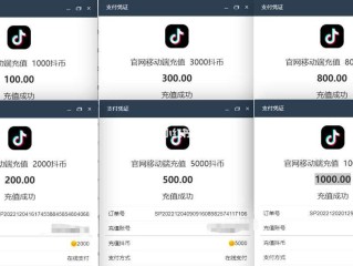 抖音充值抖币充值,抖音充值抖币充值不了说使用app登陆什么意思