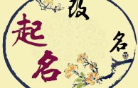 网红取名(给自己取艺名)