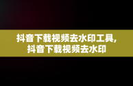 抖音下载视频去水印工具,抖音下载视频去水印