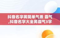 抖音名字男简单气质 霸气,抖音名字大全男霸气3字