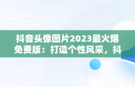 抖音头像图片2023最火爆免费版：打造个性风采，抖音头像图片2020 