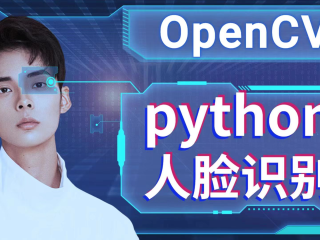 百度ai人脸对比系统,百度ai人脸对比