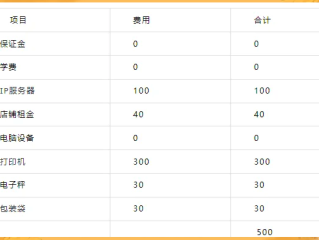 开一家跨境电商需要多少资金(开一家跨境电商需要多少资金和手续费)