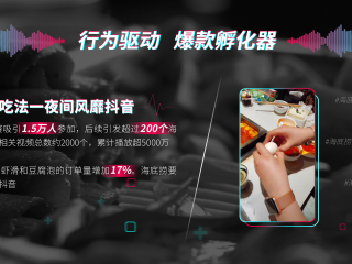 抖音短视频网页版在线直播,抖音短视频网页版在线