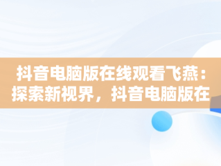 抖音电脑版在线观看飞燕：探索新视界，抖音电脑版在线观看飞燕视频 