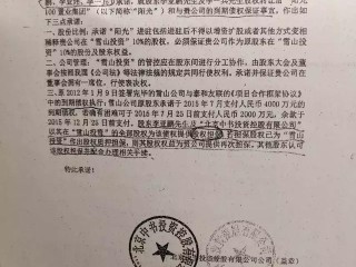 抖音企业认证更换资质承诺书模板(抖音企业认证更换资质承诺书模板怎么填)