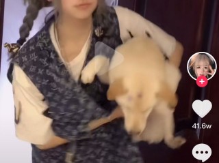 网红视频(网红视频里有个肖老师)