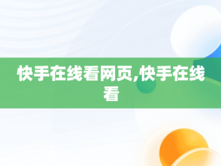 快手在线看网页,快手在线看