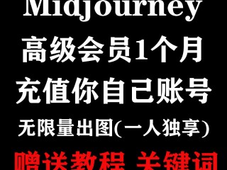 不用vip的ai绘画破解版,破解版绘画软件