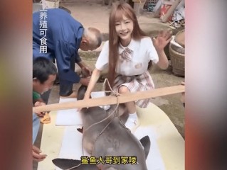包含网红提子吃鲨鱼进监狱了吗的词条