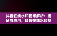 抖音在线水印视频解析：揭秘与应用，抖音在线水印视频解析并进行审核 