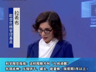 欧盟执委会,德一组织呼吁欧盟加强AI监管