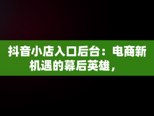 抖音小店入口后台：电商新机遇的幕后英雄， 