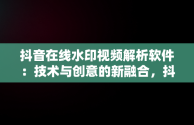 抖音在线水印视频解析软件：技术与创意的新融合，抖音短视频在线水印解析 