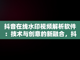 抖音在线水印视频解析软件：技术与创意的新融合，抖音短视频在线水印解析 