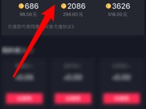 抖音充值官方入口,抖音充值官方入口网址