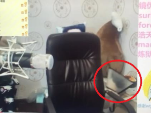 直播长得太凶开局吓哭女主播飞卢,直播长得太凶开局吓哭女主播