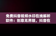 免费抖音视频水印在线解析软件：创意**限，抖音在线水印视频解析工具 