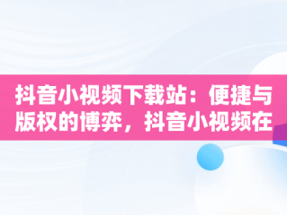 抖音小视频下载站：便捷与版权的博弈，抖音小视频在线下载 