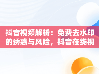 抖音视频解析：免费去水印的诱惑与风险，抖音在线视频解析水印免费软件 