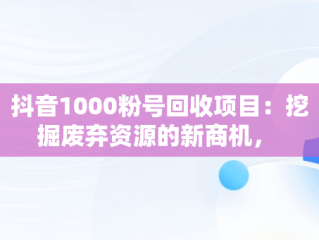 抖音1000粉号回收项目：挖掘废弃资源的新商机， 