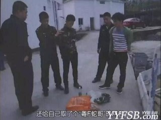 快手社会你胜哥吃蛇,快手胜哥吃蛇视频