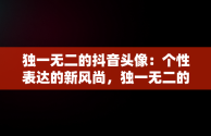 独一无二的抖音头像：个性表达的新风尚，独一无二的抖音头像动漫人物 