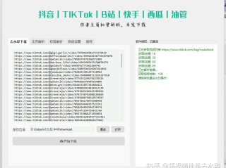短视频去水印小助手(短视频去水印软件下载)